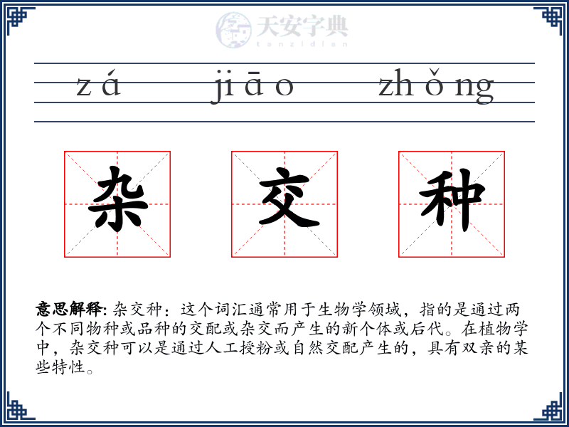 杂交种