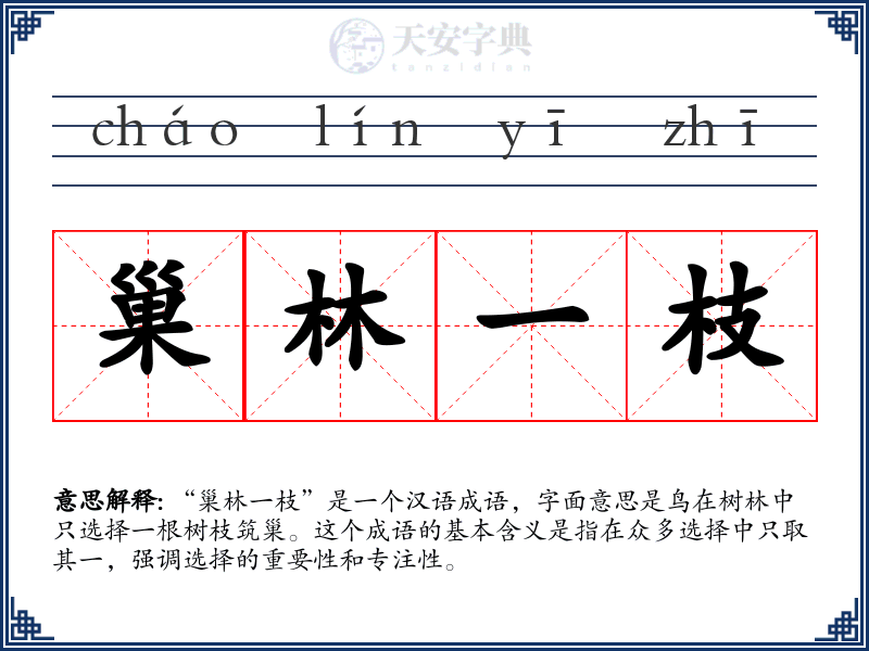 巢林一枝