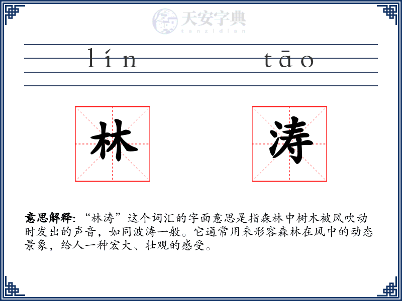 林涛