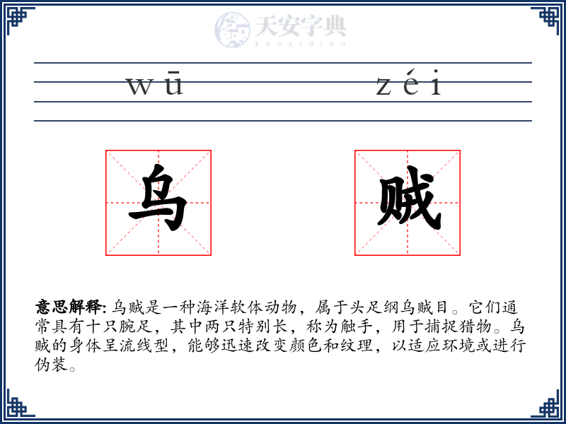 乌贼