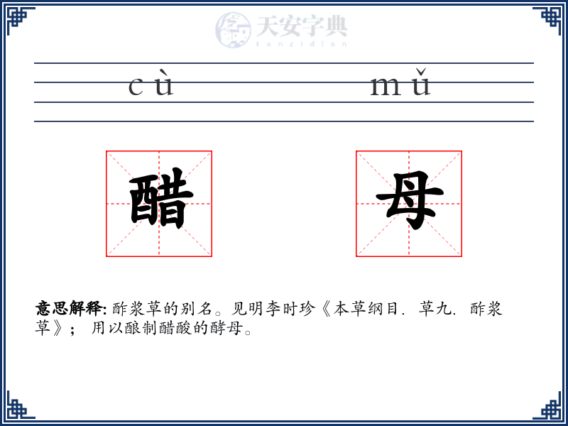 醋母