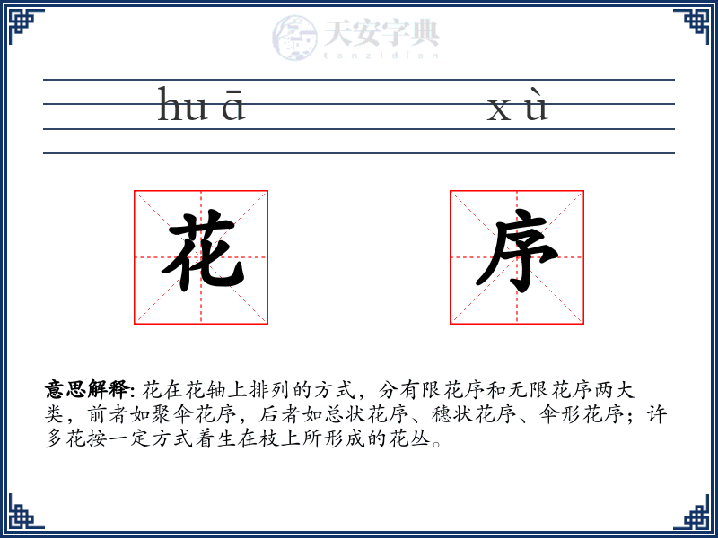 花序