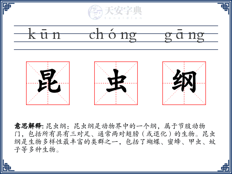 昆虫纲
