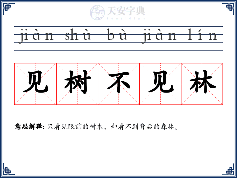 见树不见林