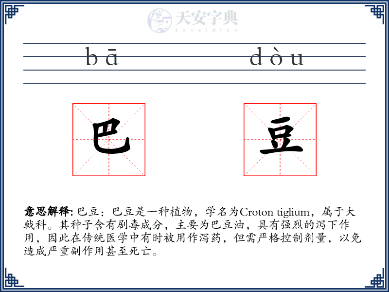 巴豆