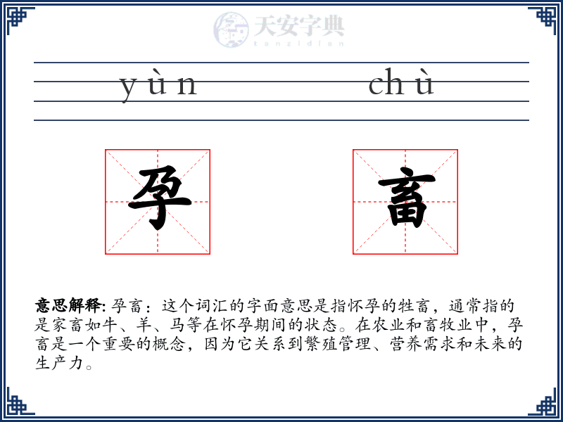 孕畜