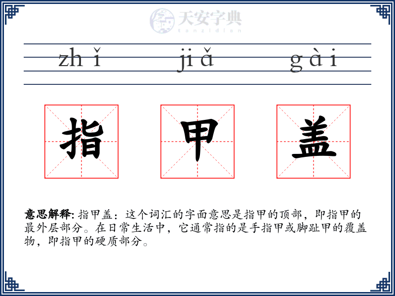 指甲盖