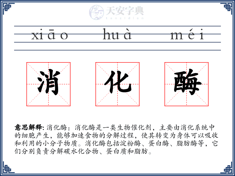 消化酶