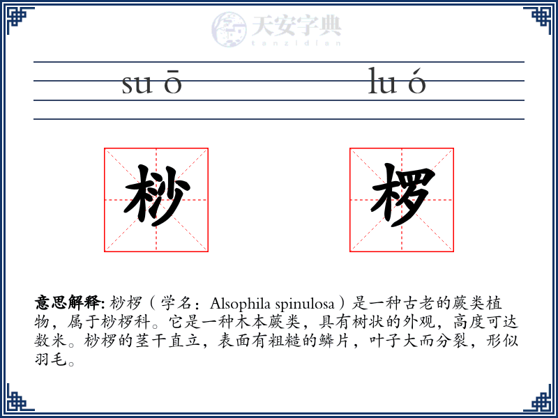 桫椤