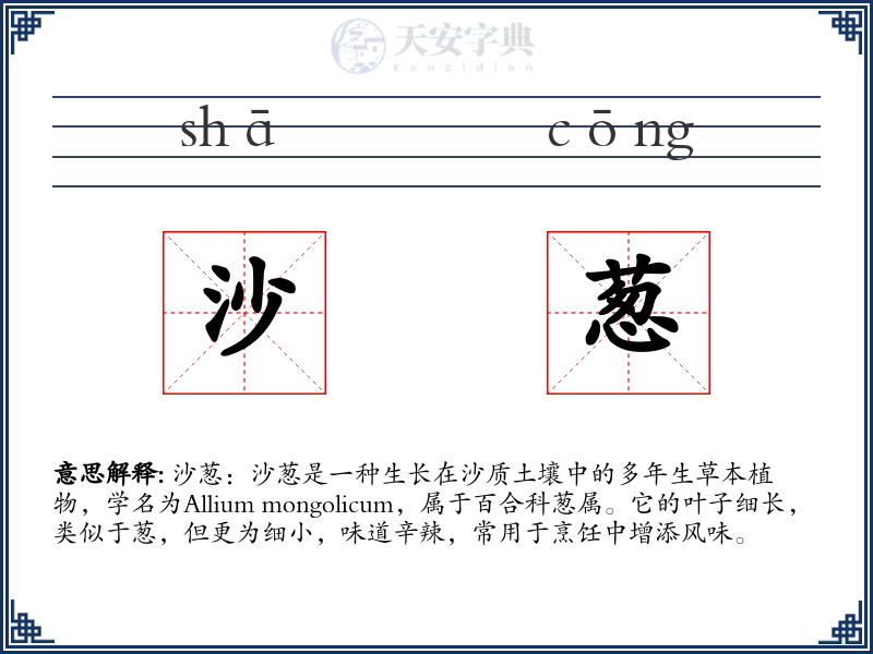 沙葱