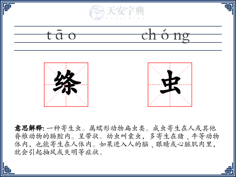 绦虫
