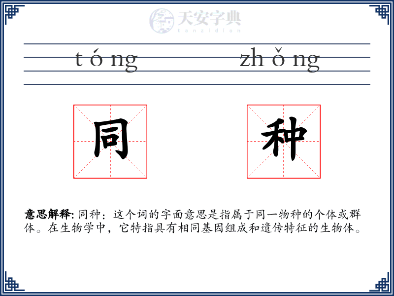 同种