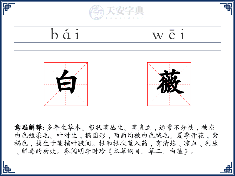 白薇