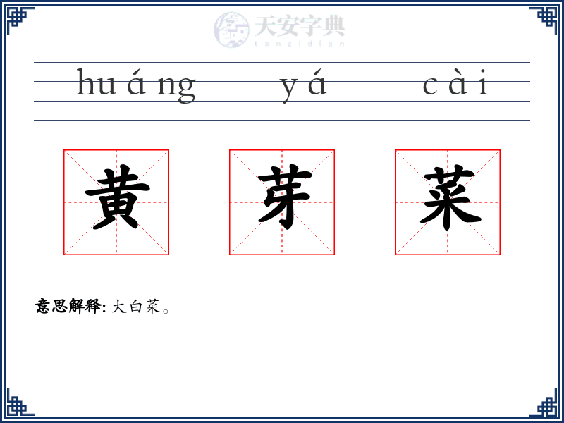 黄芽菜