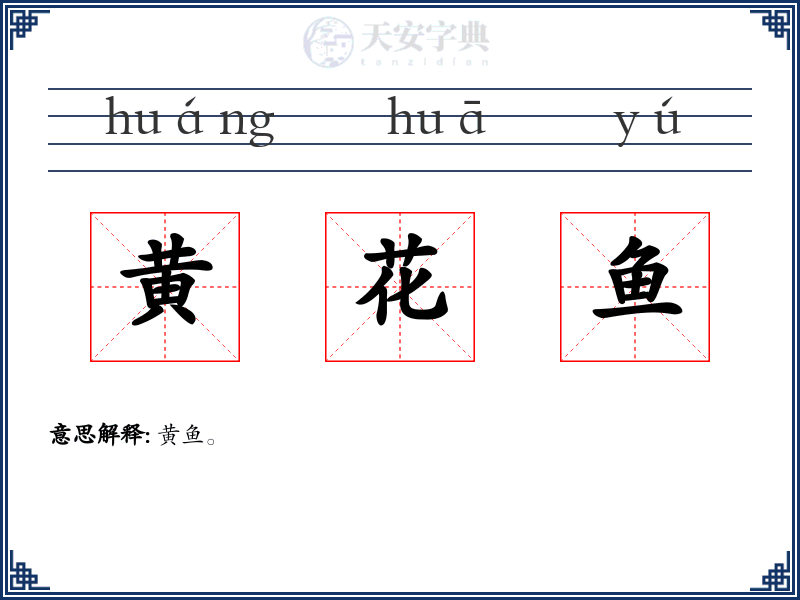 黄花鱼