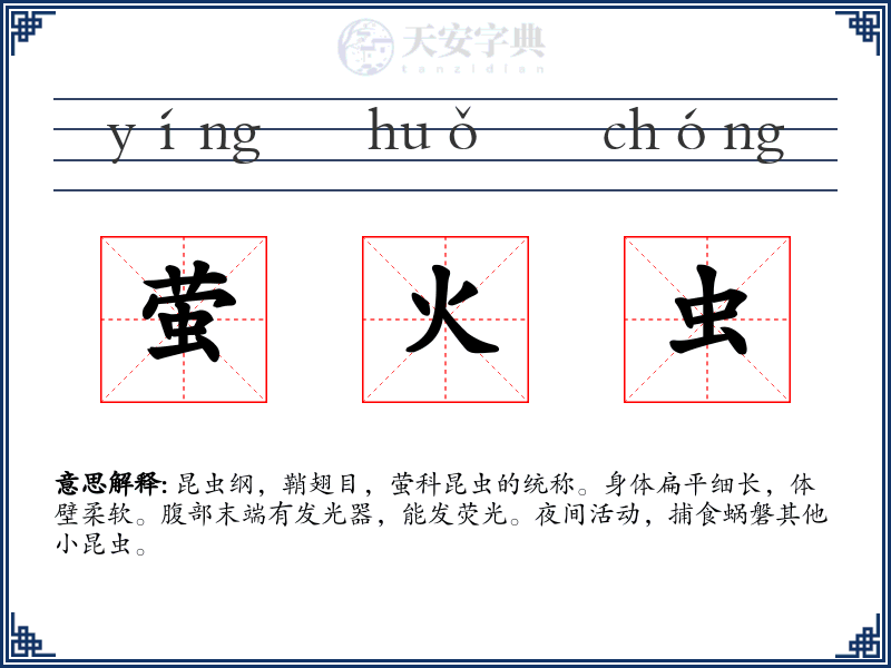 萤火虫