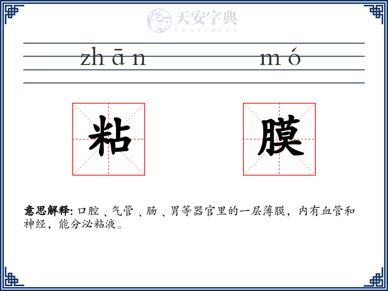 粘膜