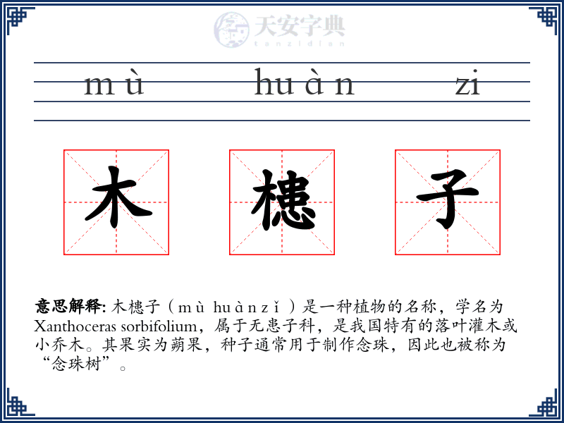 木槵子
