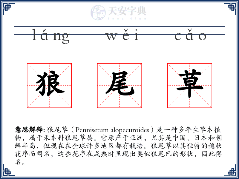 狼尾草
