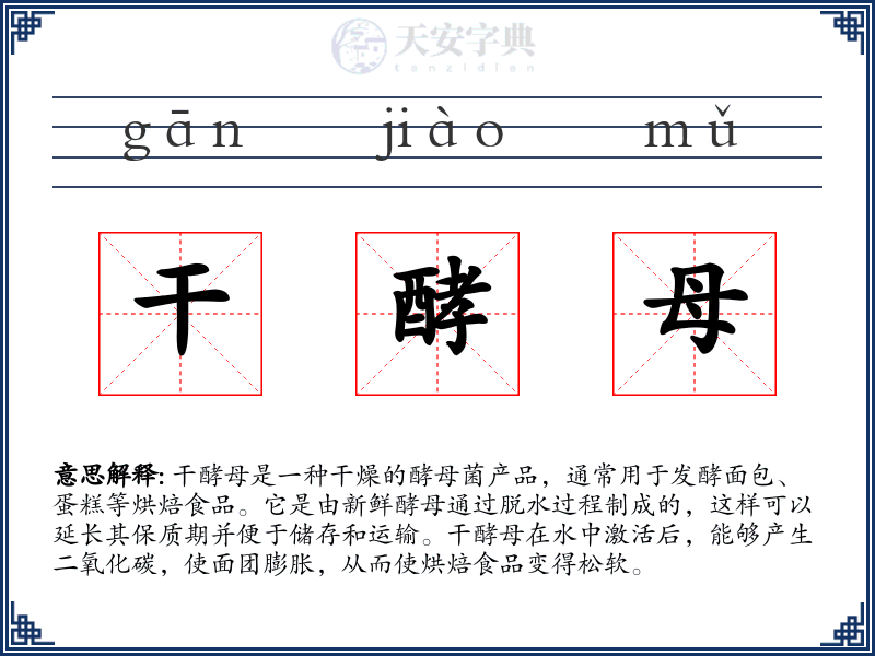 干酵母