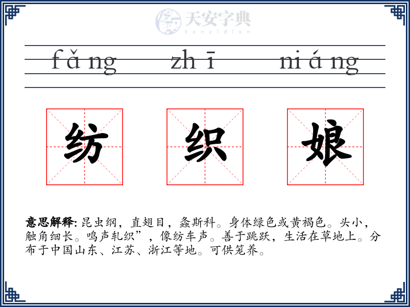 纺织娘