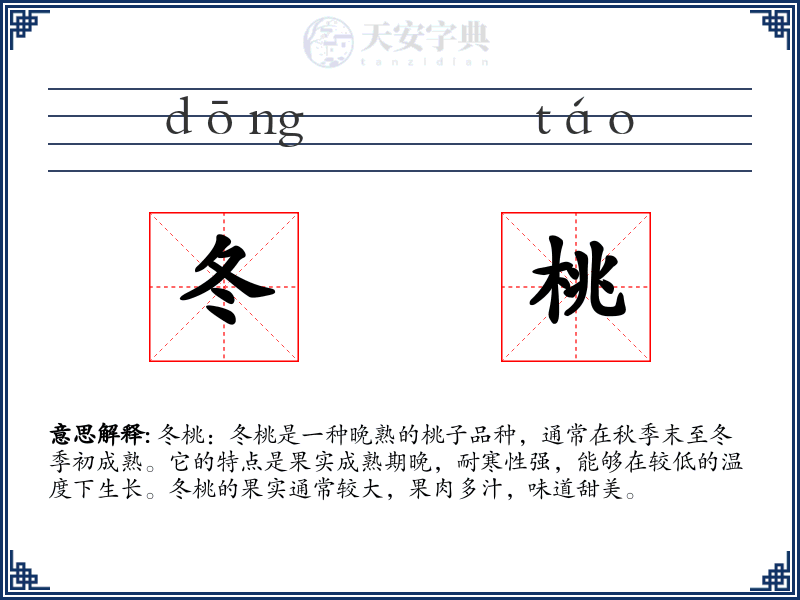 冬桃