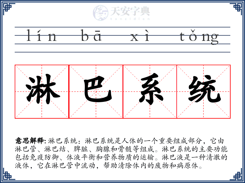 淋巴系统