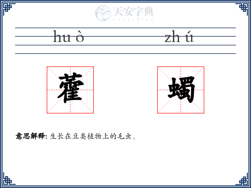 藿蠋