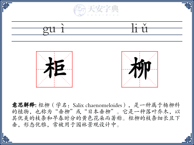 柜柳