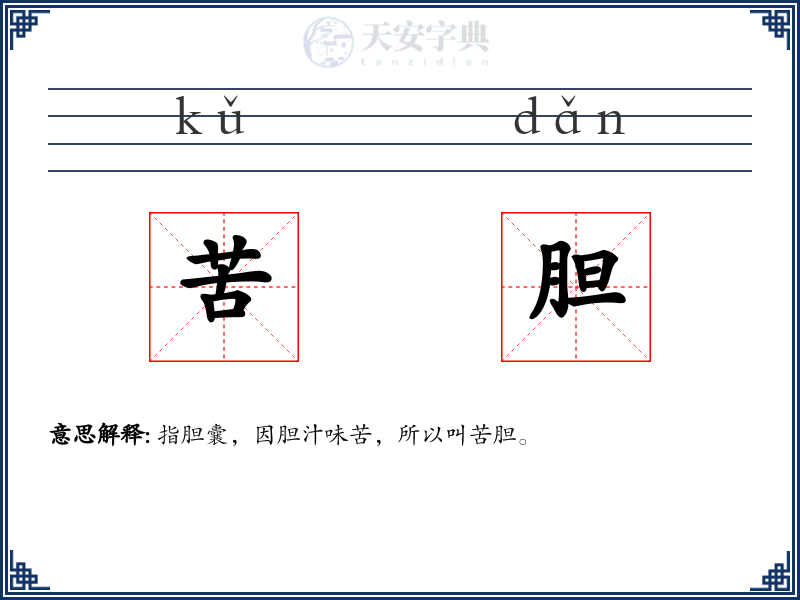 苦胆