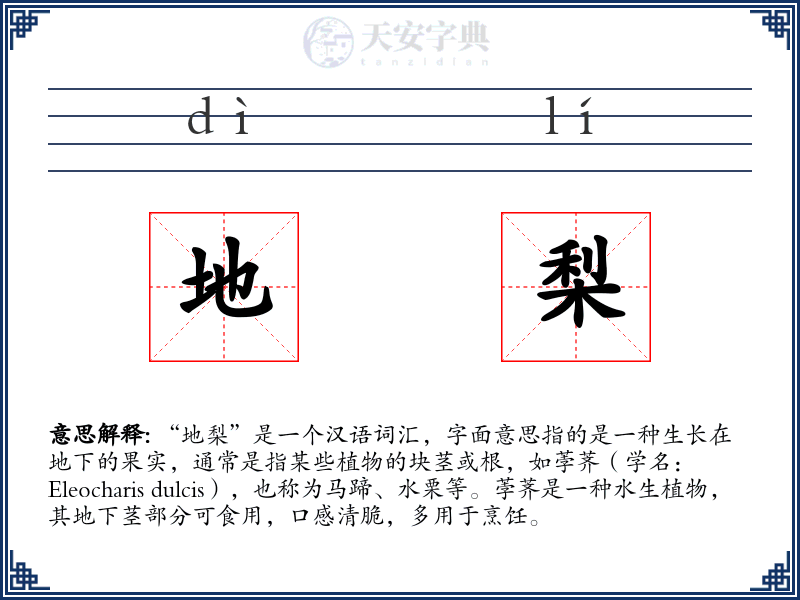 地梨