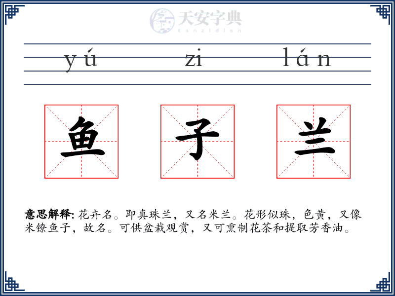 鱼子兰
