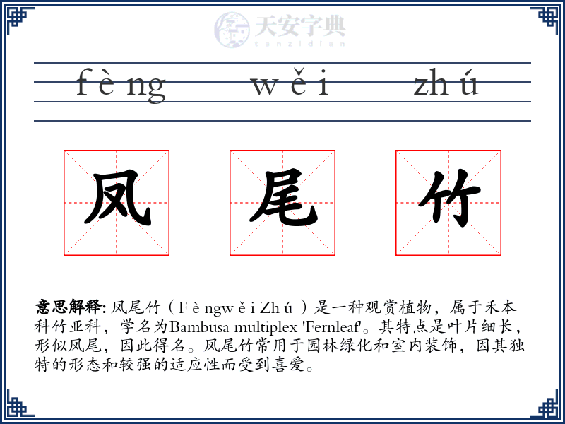 凤尾竹