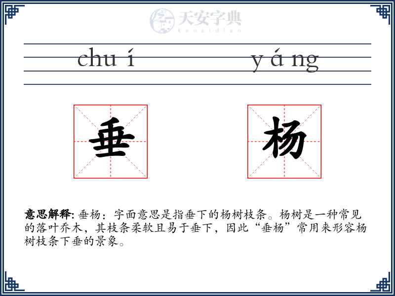 垂杨