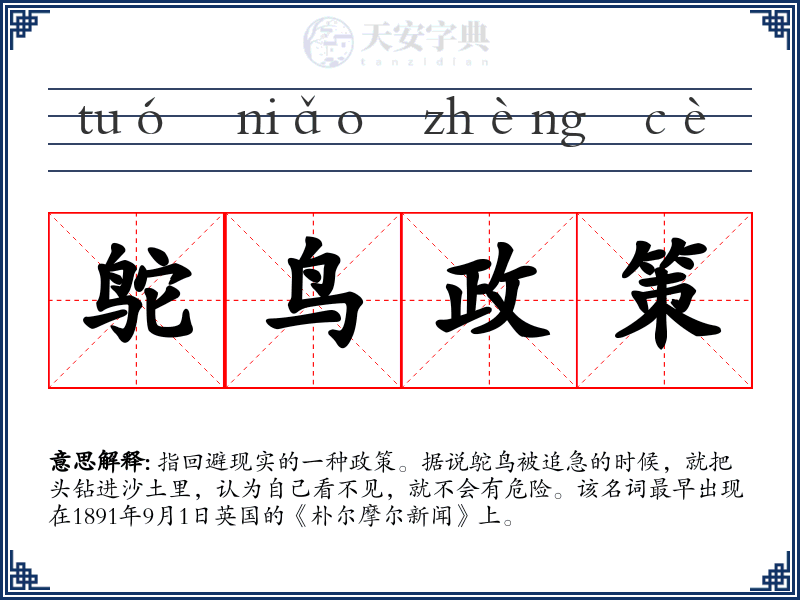 鸵鸟政策