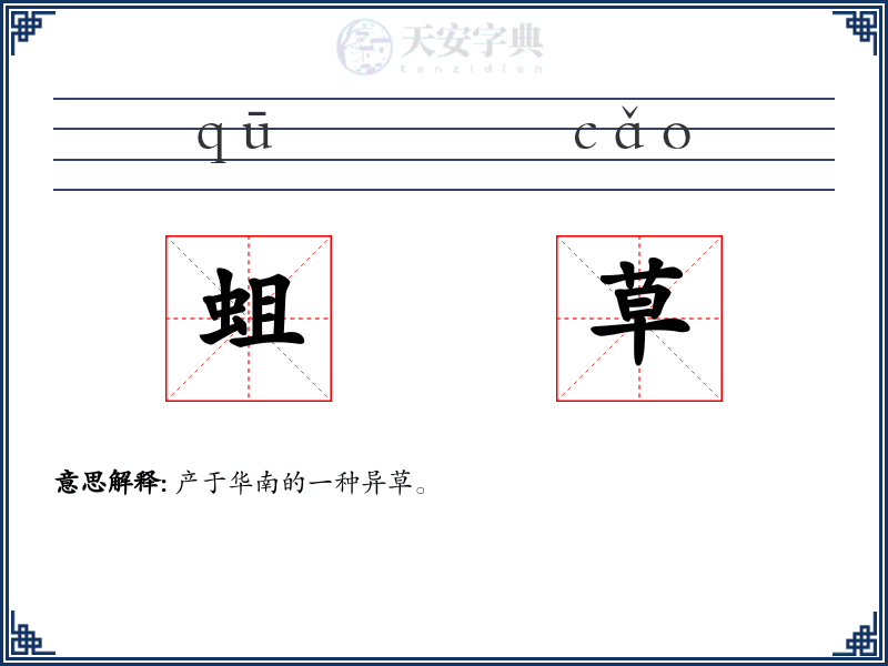 蛆草