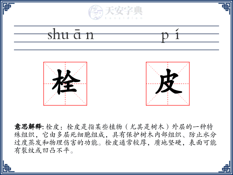 栓皮