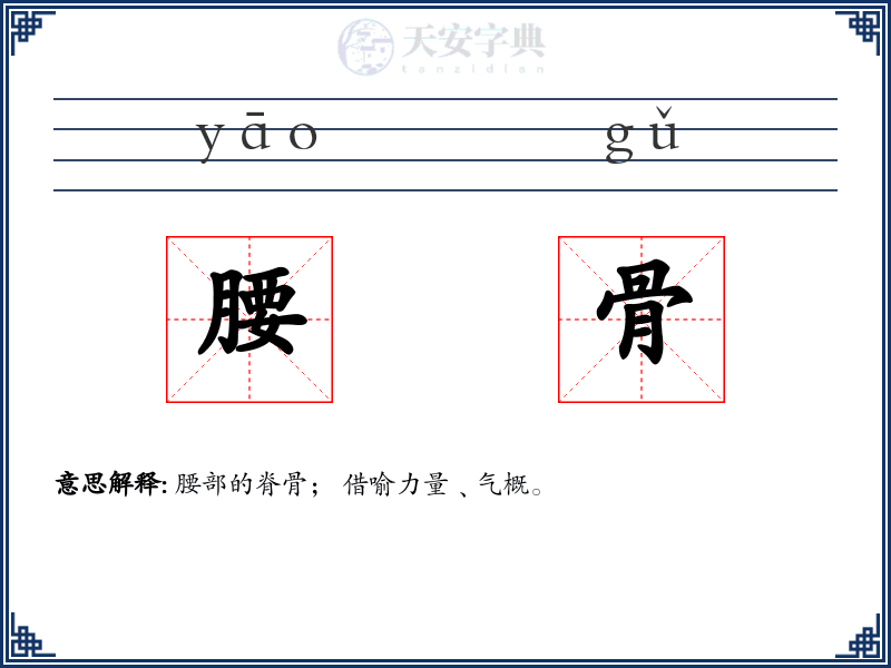腰骨