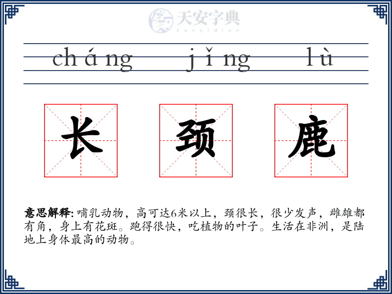 长颈鹿