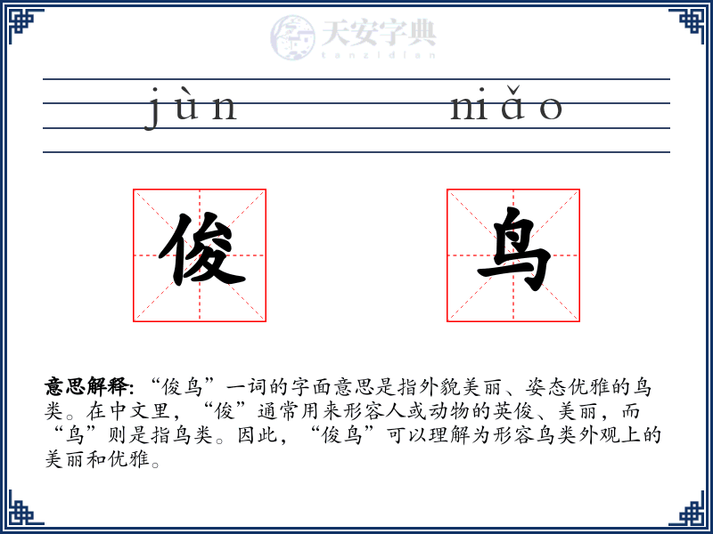俊鸟