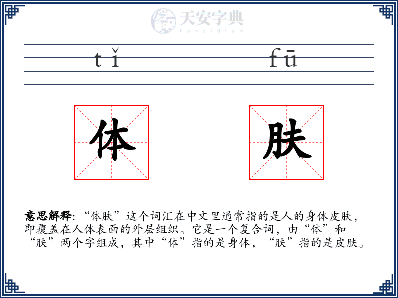 体肤