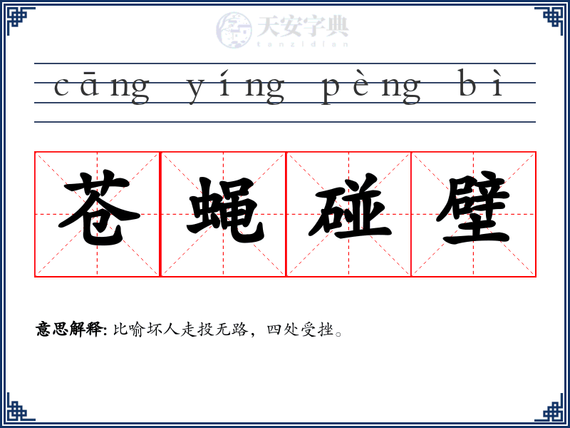 苍蝇碰壁