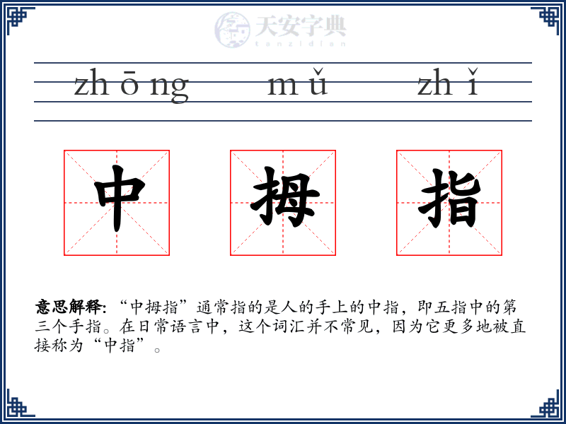 中拇指