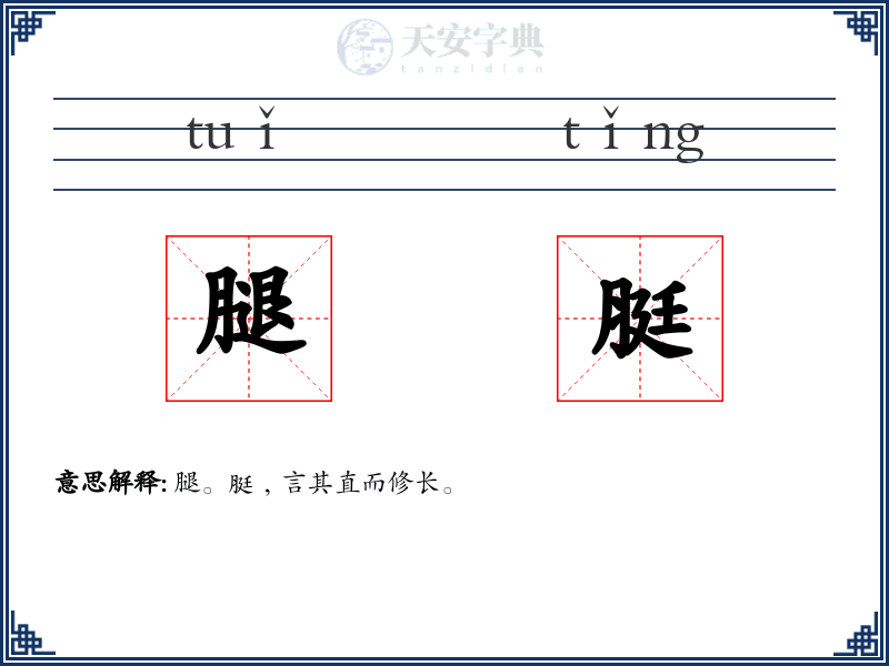 腿脡