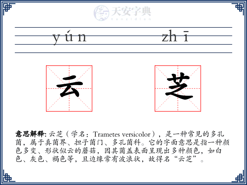 云芝