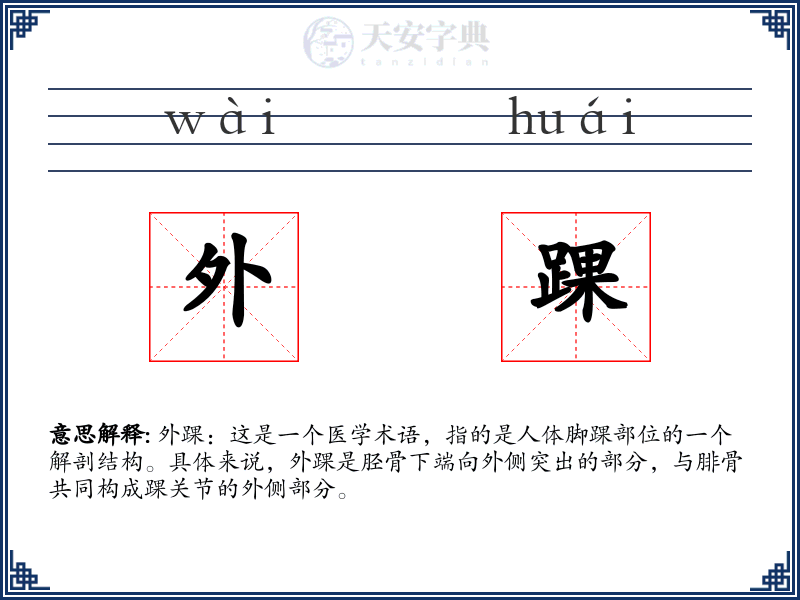 外踝