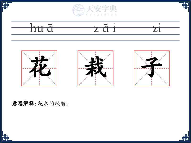 花栽子