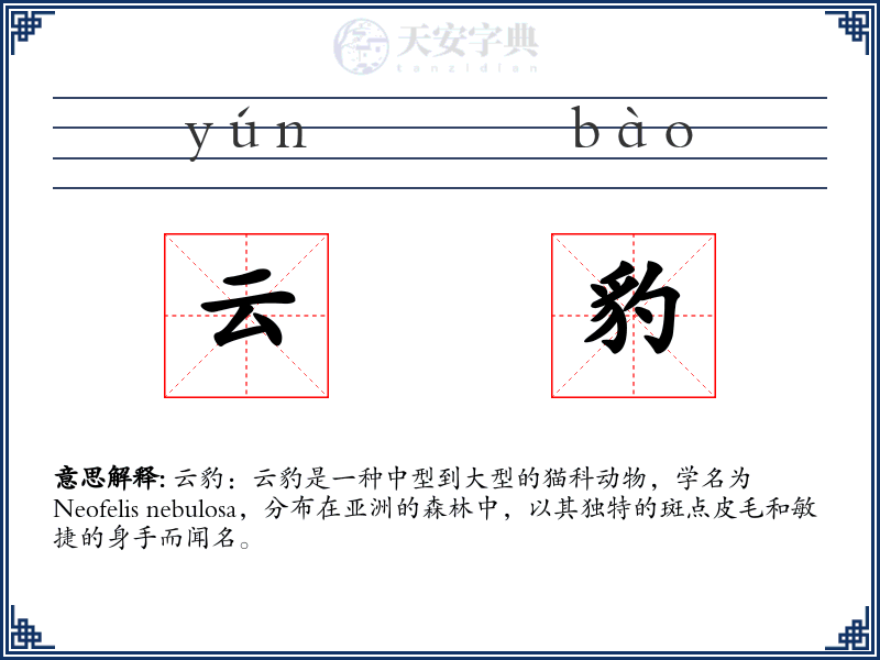 云豹
