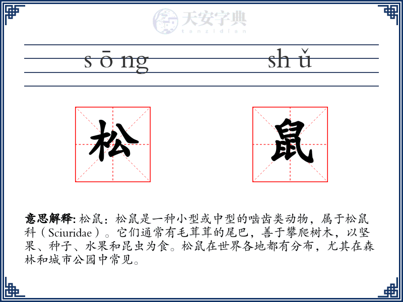 松鼠