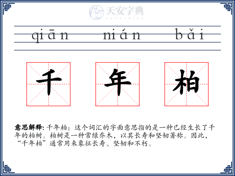 千年柏